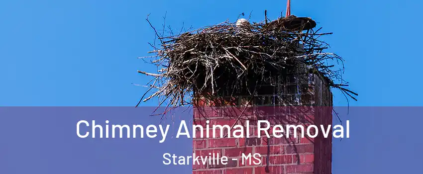 Chimney Animal Removal Starkville - MS