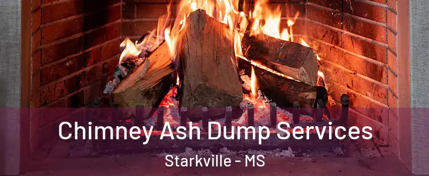  Chimney Ash Dump Services Starkville - MS