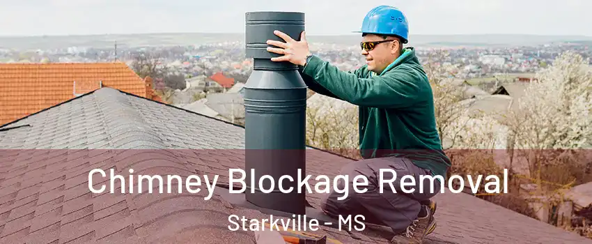  Chimney Blockage Removal Starkville - MS