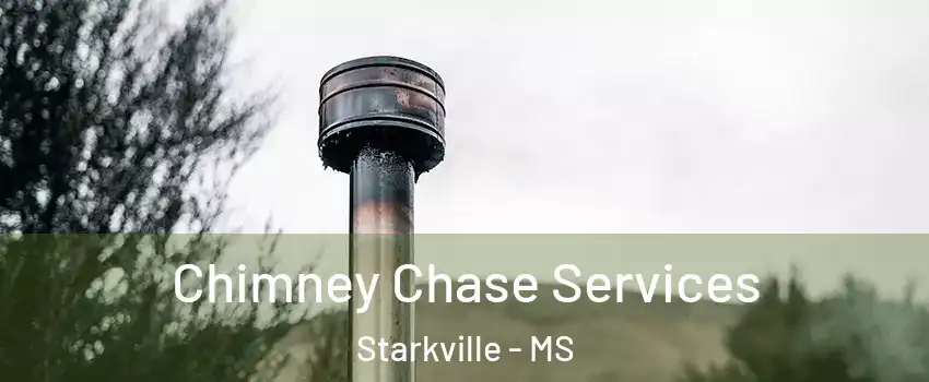  Chimney Chase Services Starkville - MS