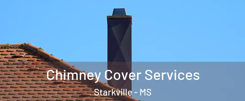  Chimney Cover Services Starkville - MS