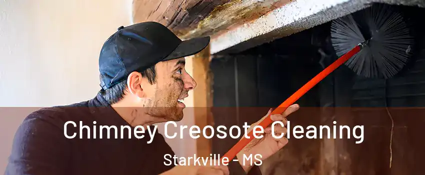  Chimney Creosote Cleaning Starkville - MS