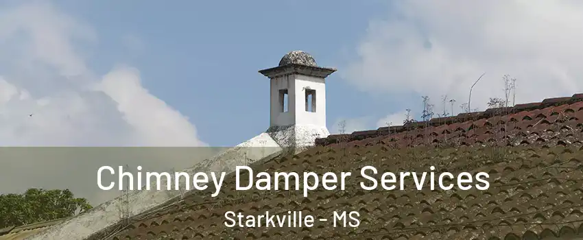  Chimney Damper Services Starkville - MS