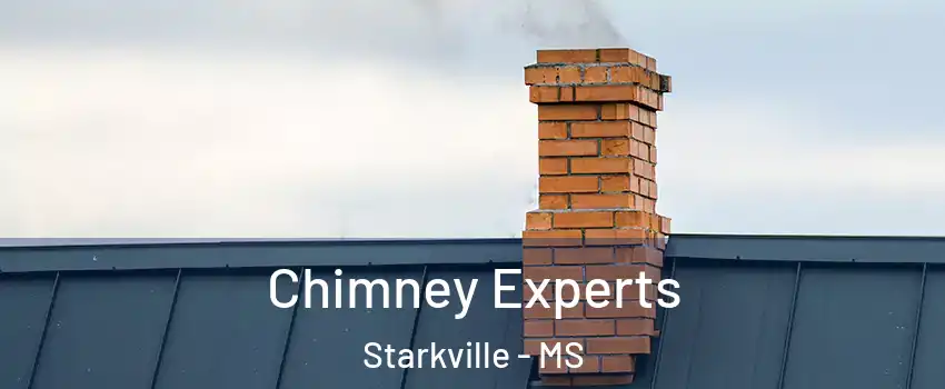 Chimney Experts Starkville - MS