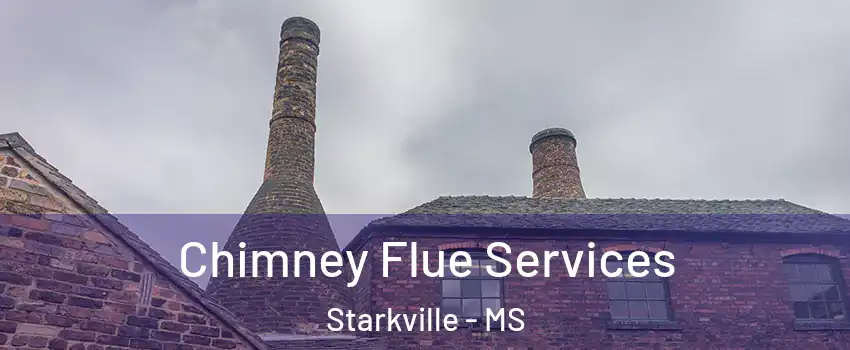  Chimney Flue Services Starkville - MS