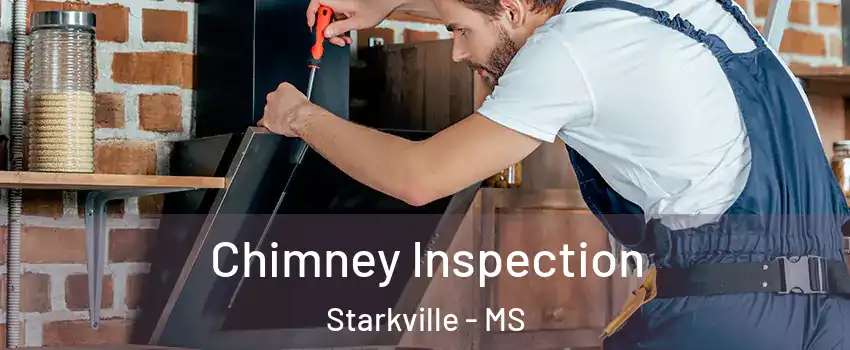  Chimney Inspection Starkville - MS