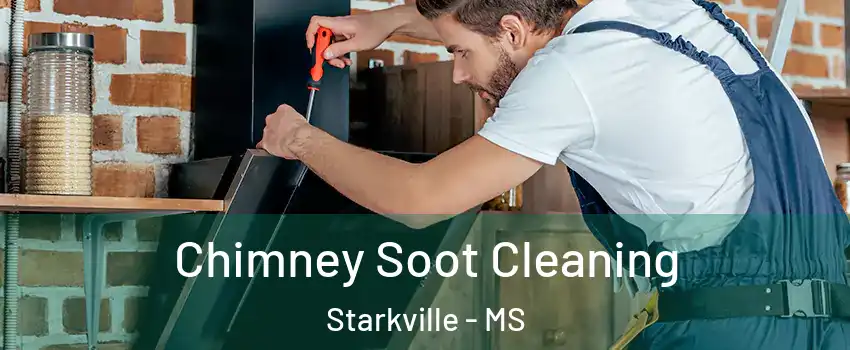  Chimney Soot Cleaning Starkville - MS