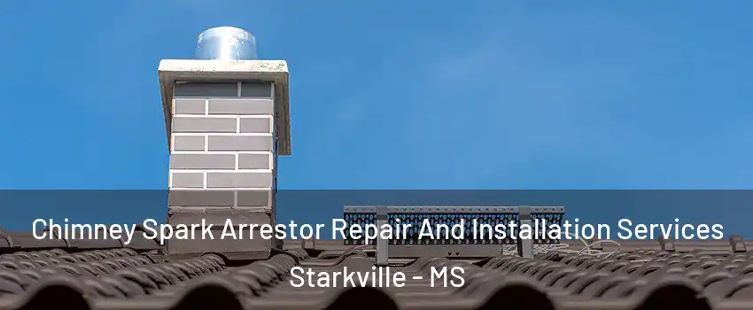  Chimney Spark Arrestor Repair And Installation Services Starkville - MS