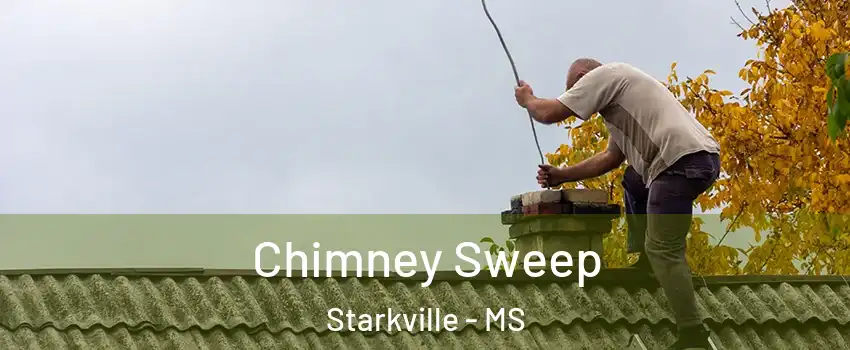  Chimney Sweep Starkville - MS