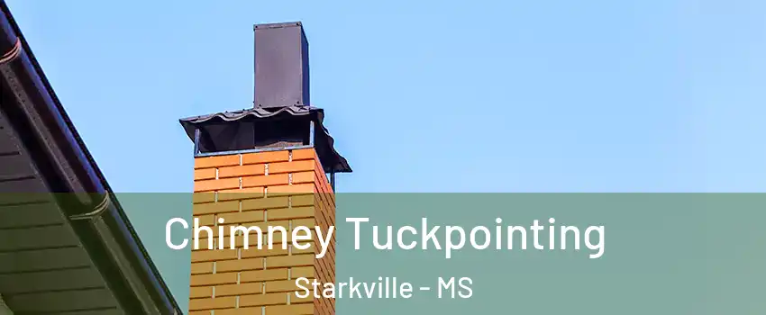  Chimney Tuckpointing Starkville - MS