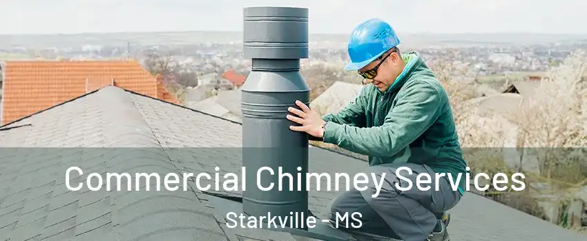  Commercial Chimney Services Starkville - MS