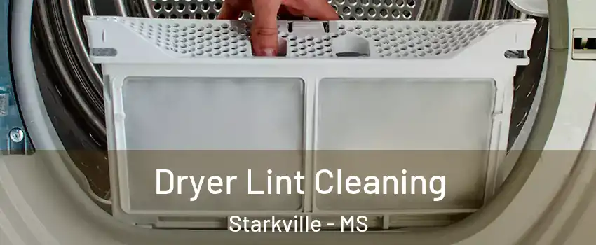  Dryer Lint Cleaning Starkville - MS