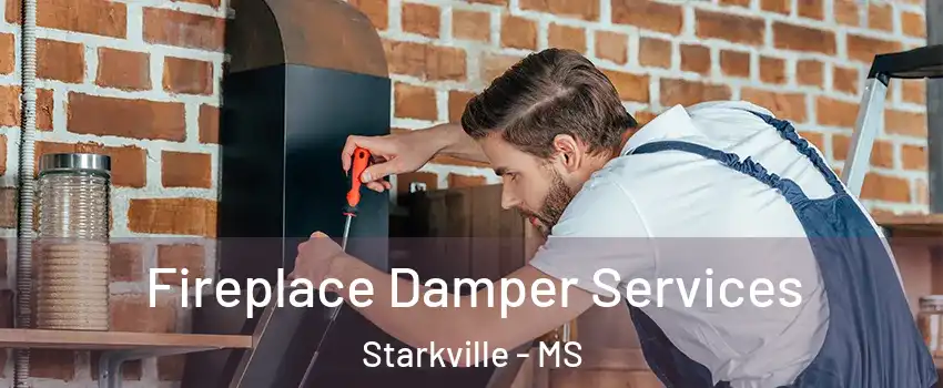  Fireplace Damper Services Starkville - MS