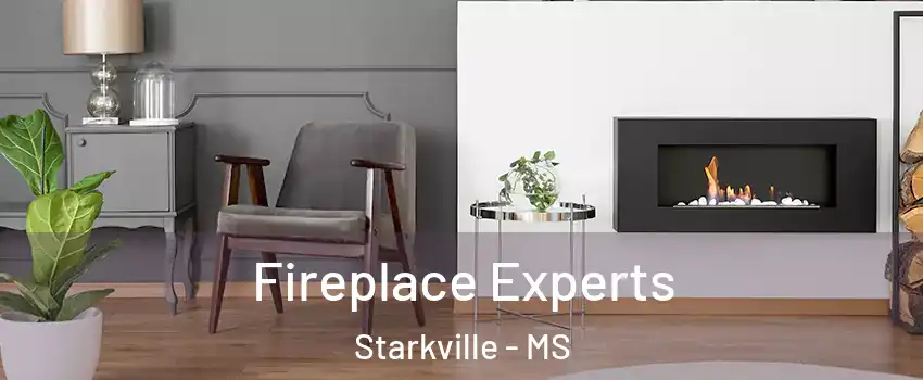  Fireplace Experts Starkville - MS