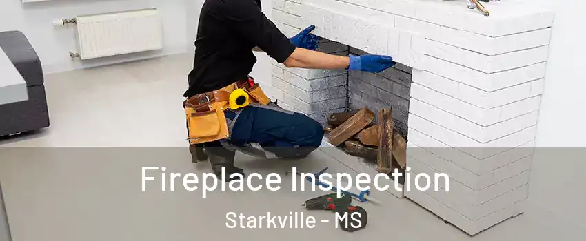  Fireplace Inspection Starkville - MS