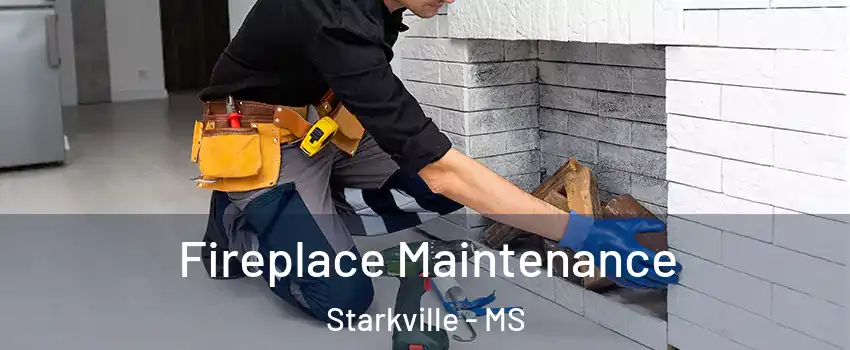  Fireplace Maintenance Starkville - MS