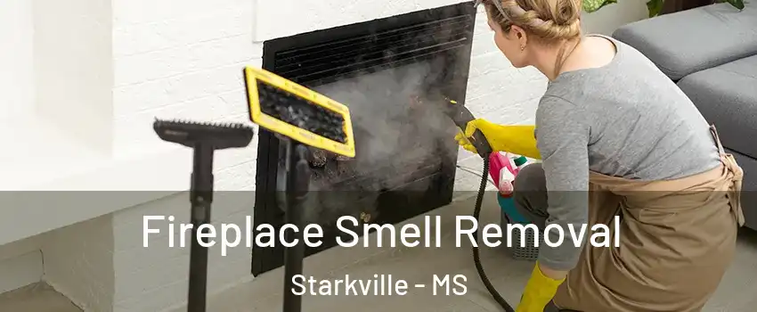  Fireplace Smell Removal Starkville - MS