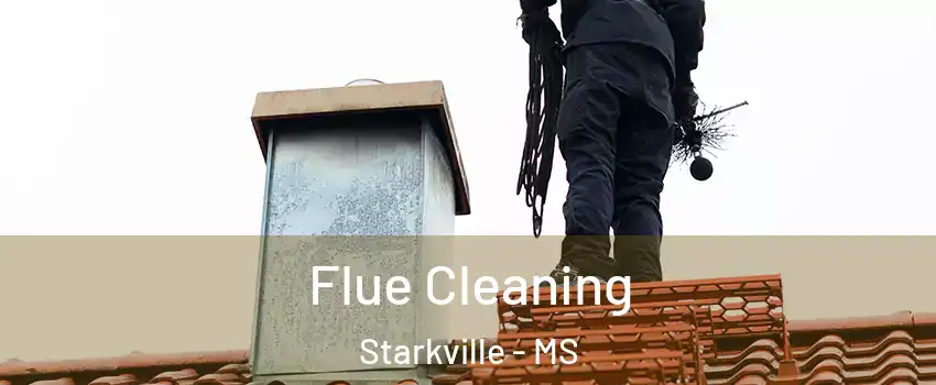  Flue Cleaning Starkville - MS