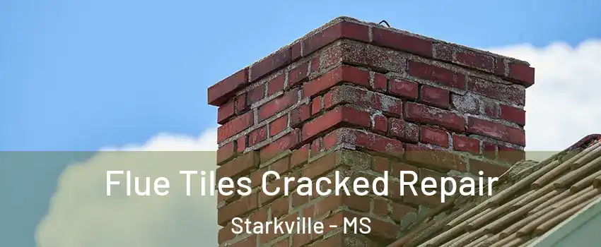 Flue Tiles Cracked Repair Starkville - MS