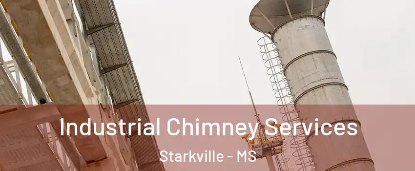  Industrial Chimney Services Starkville - MS