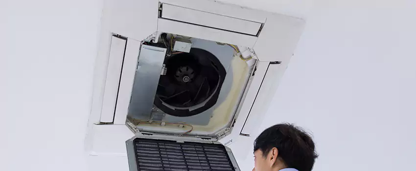 Benefits of Professional Air Duct Cleaning in Starkville, Mississippi