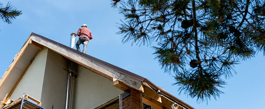 Birds Removal Contractors from Chimney in Starkville, MS