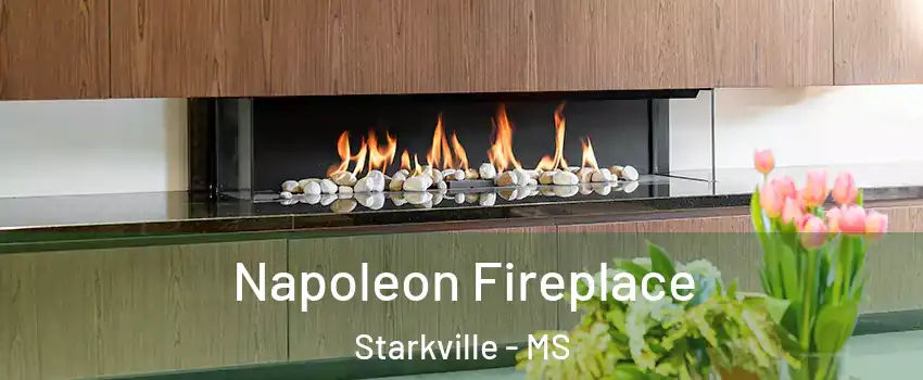  Napoleon Fireplace Starkville - MS