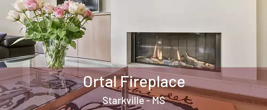 Ortal Fireplace Starkville - MS