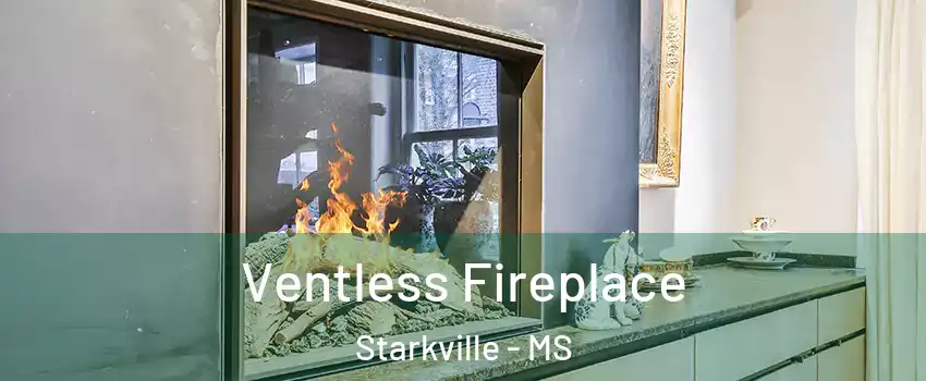  Ventless Fireplace Starkville - MS
